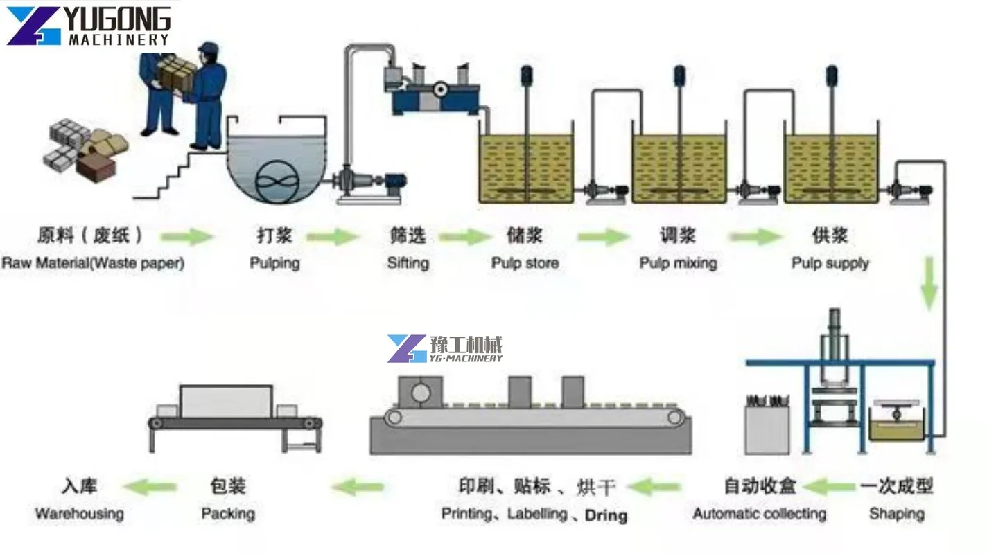 Factory Price Egg Dish Making Machine Fruit Tray Making Production Line 4000 Pcs Per Hour Egg Dish Forming Machine