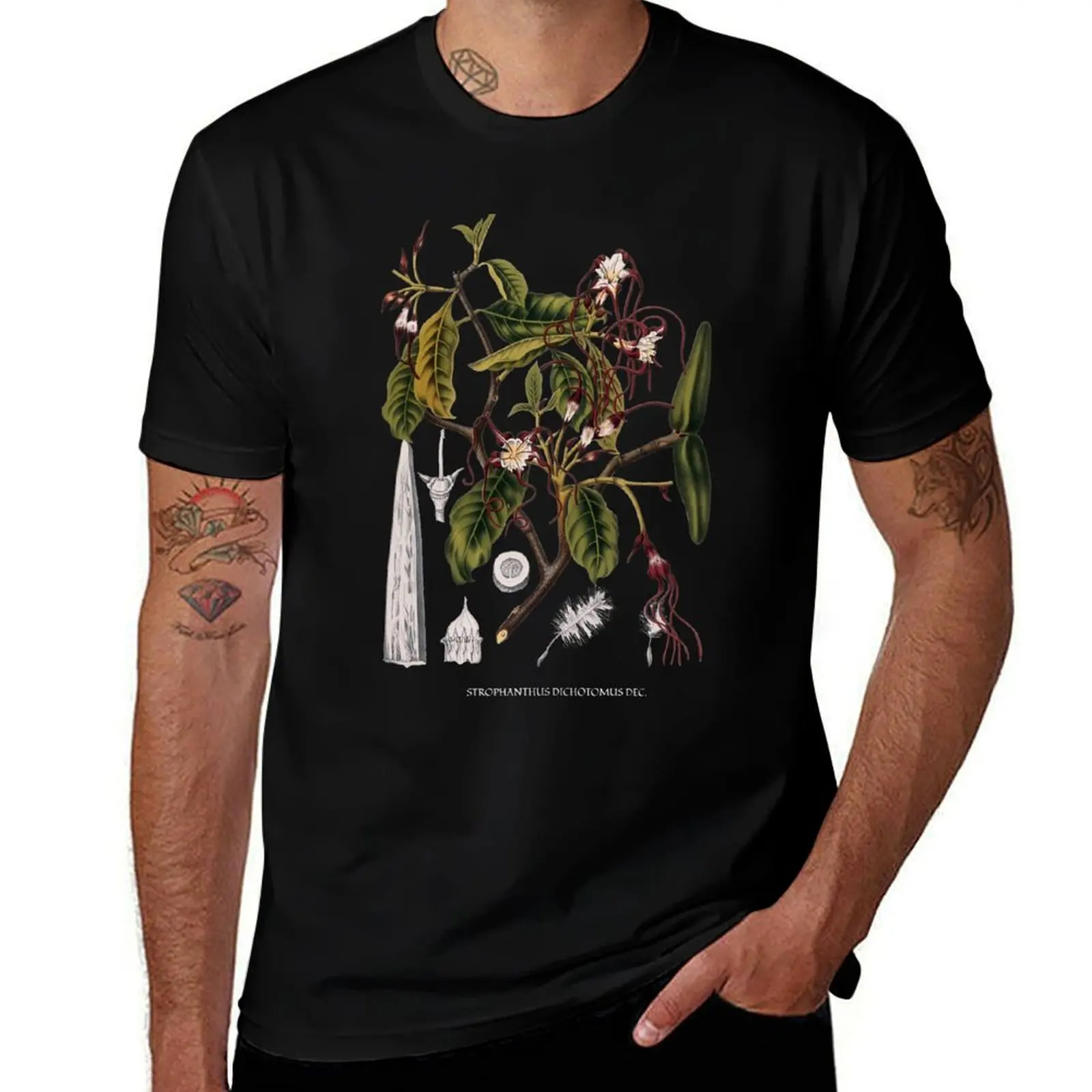 

19th Century Botanical Illustration T-Shirt t shirts for man cotton man t shirts high quality luxury brand