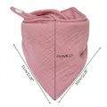 C4-31cmx21cm