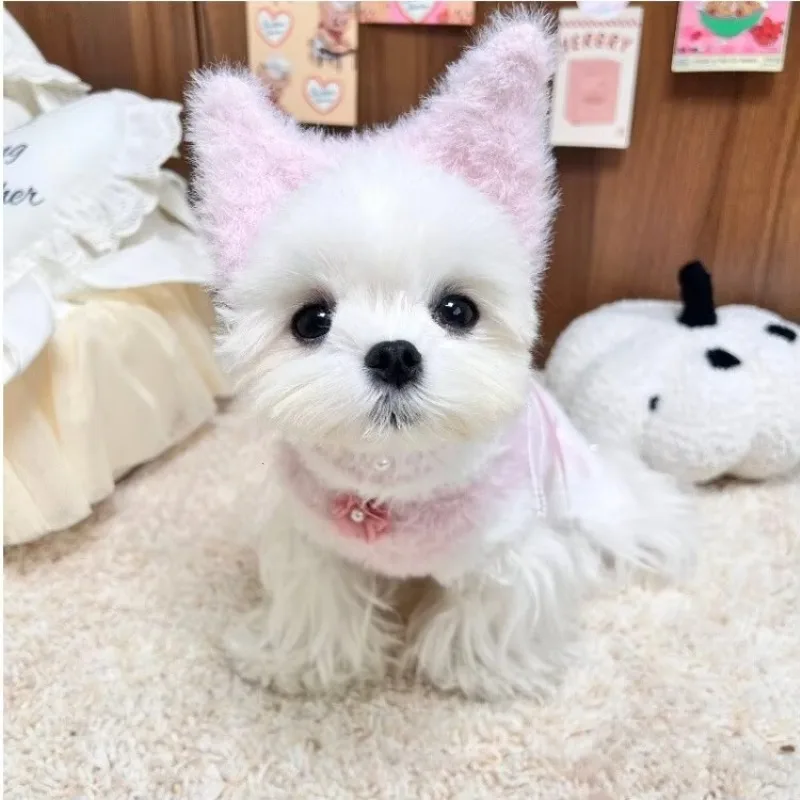 

Новый дизайн, экологически чистое современное зимнее теплое пальто для домашних животных, однотонная пряжа с милым котом и собакой