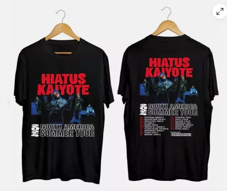 Hiatus Kaiyote 2024 Tour Shirt, Hiatus Kaiyote Band Fan T-Shirt