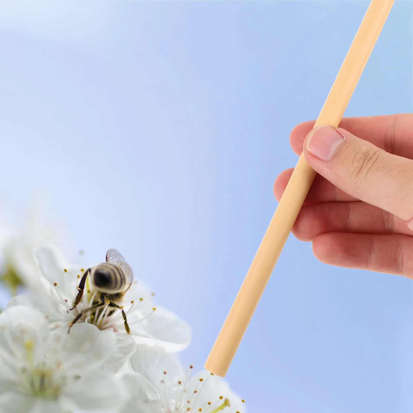 

10Pcs Bee Tubes Refill Replacement Durable Compact Easy Carry Operate DIY Beehive Garden Balcony Courtyard Bees Tubes