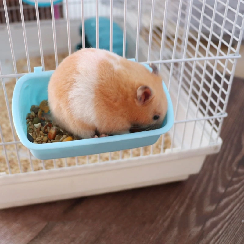 Alimentador comida hamster plástico tigela comida para animais estimação alimentação água com ganchos