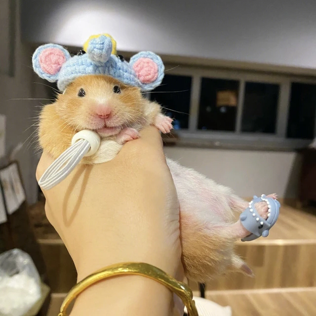 Mini Hamster Shoes Golden Bear Slippers Cute Shark Slippers Cosplay Suit Clothing Costume Pet Decor Small Animal Accessories AliExpress