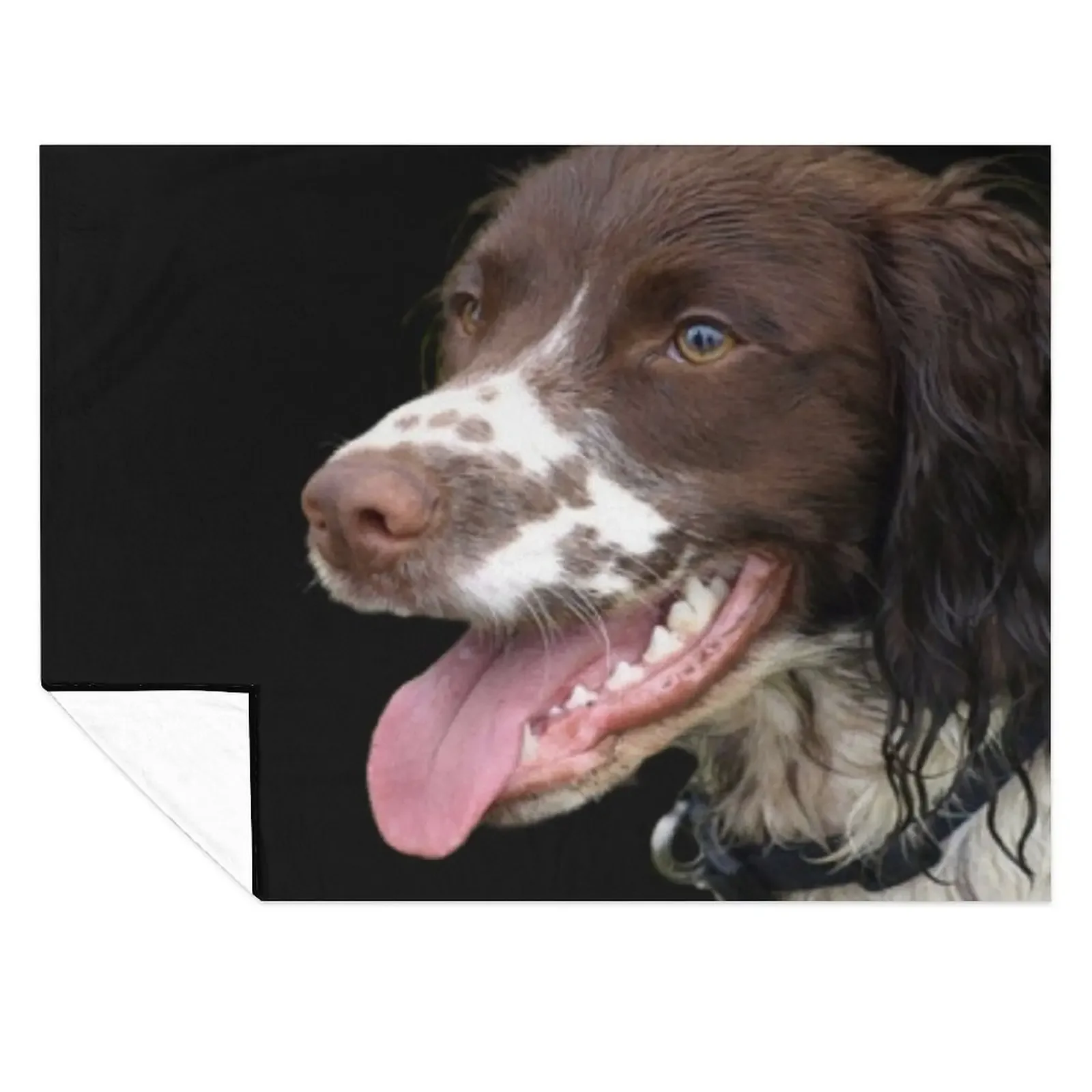 

Sprocker Spaniel Throw Blanket decorative Sofas Soft Plaid Summer Blankets