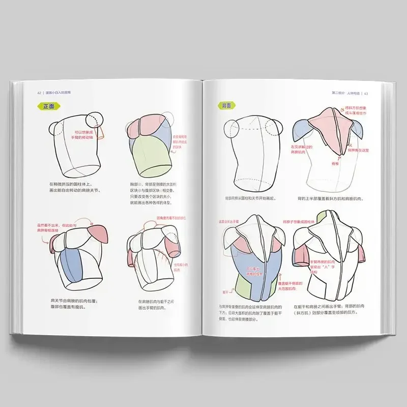 1 Basics of Manga Beginners Guide To Avoiding Pitfalls Japanese Manga Techniques Teen Manga Tutorials for Student Schoool