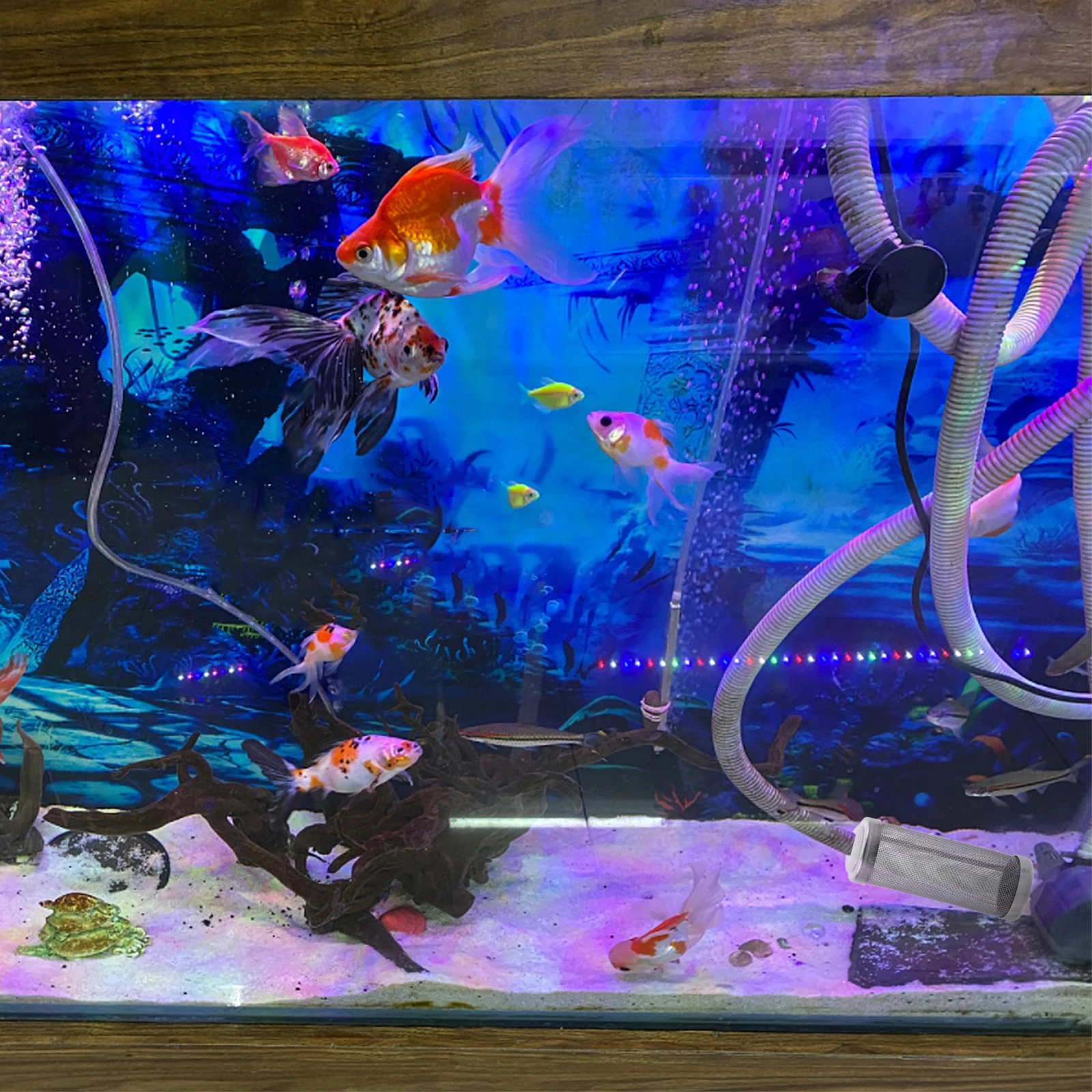 

Stainless Steel Aquarium Filter Mesh Basket Easy Clean Fish Tank Filter Guard Accessories Water Filtration Mesh Tube for Tank