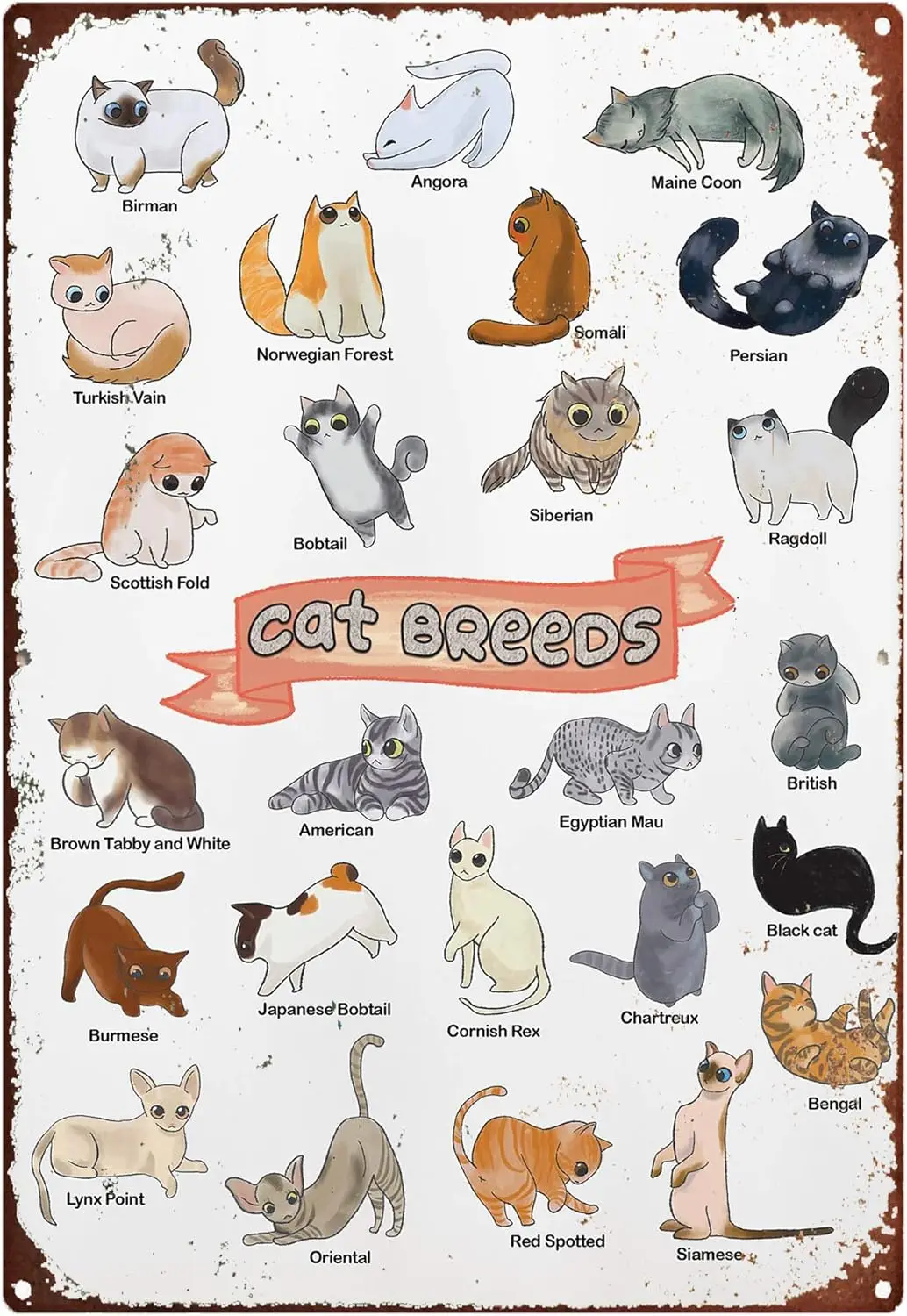 Eeypy Vintage Metal Signs for Kitchen Cat Guide Metal Sign, Types of Cats Print, Kitten Picture, Home Wall Art, Cat Lover G sign