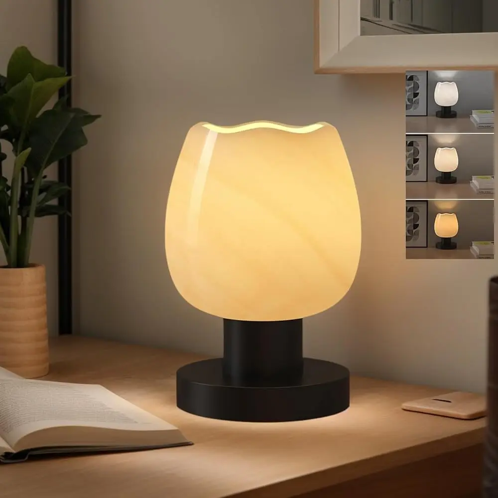 

Modern 3-Color Temperature Bedside Table Lamp For Bedroom, Small Bedroom Lamp With Flower Glass Lampshade For Nightstand