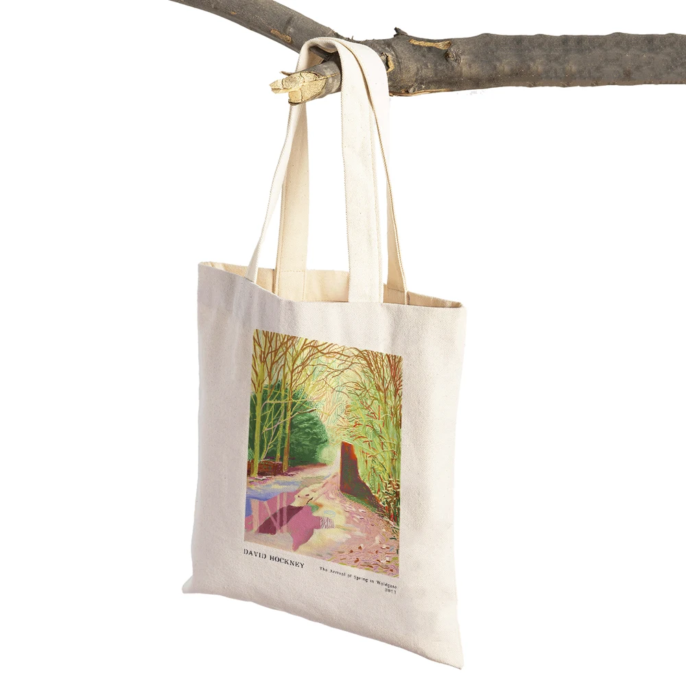 Nordic David Hockney Colorful Painting Travel Tote Lady Handbag Shopper Supermarket Bag Eco Casual Canvas Women Shopping Bags