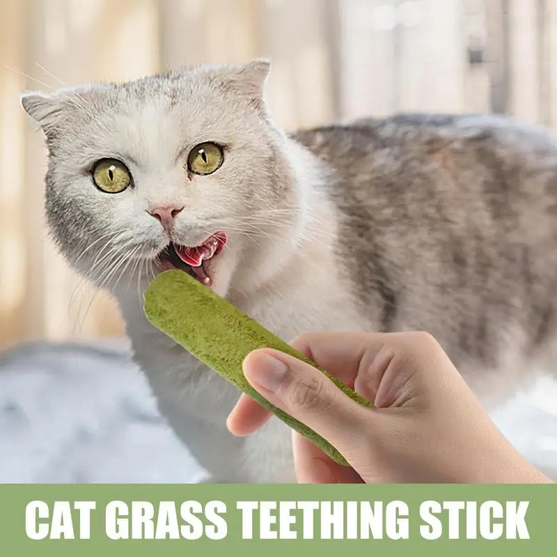 Freeze Dried Raw Cat Food Cat Toys For Gentle Hairball Removal Teeth Cleaning Cat Grass Stick Cat Food For Small Medium Large