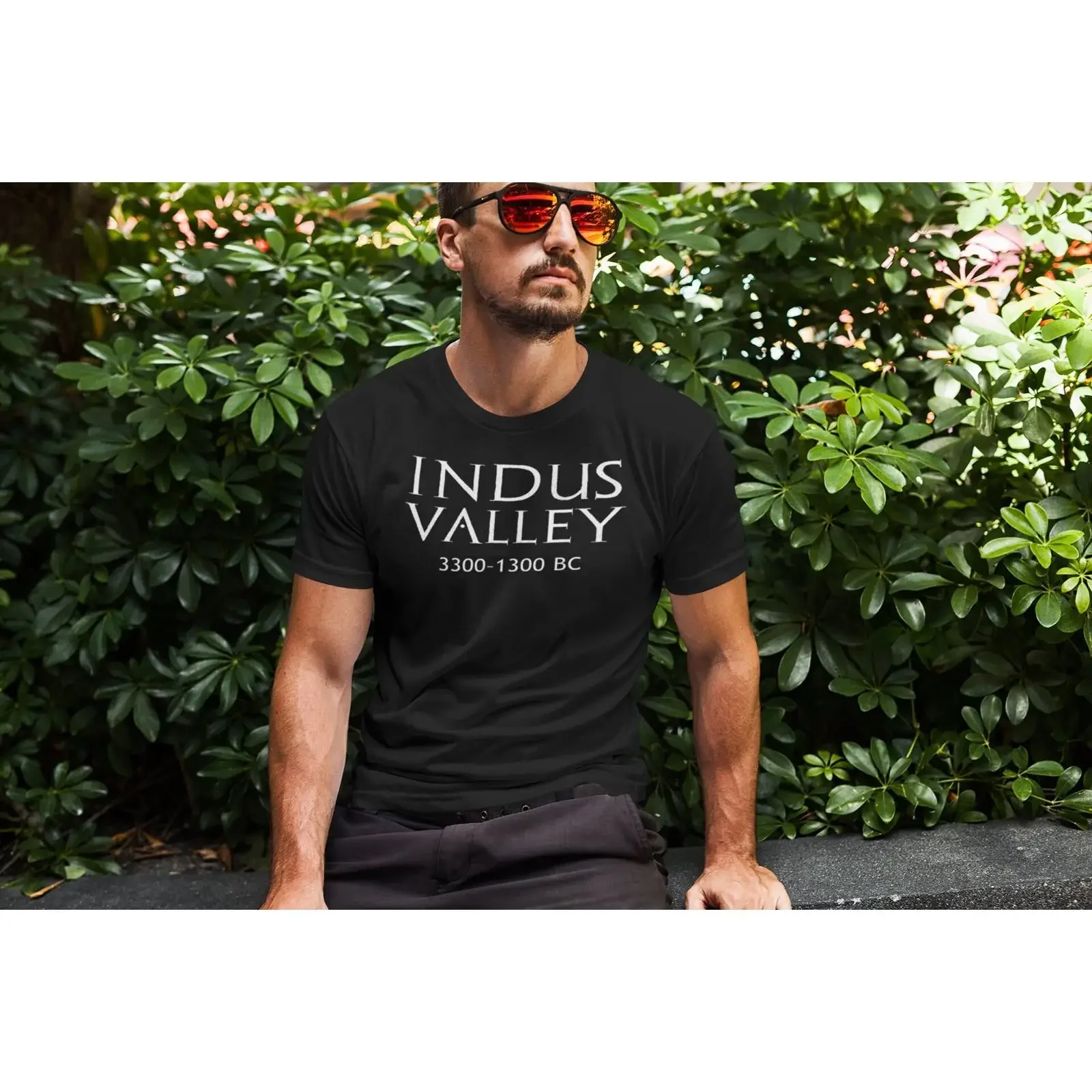 Indus Valley Civilzation Bronze Age History T shirt vintage Washed Stretched Versatile Breathable designer clothes Comfortable