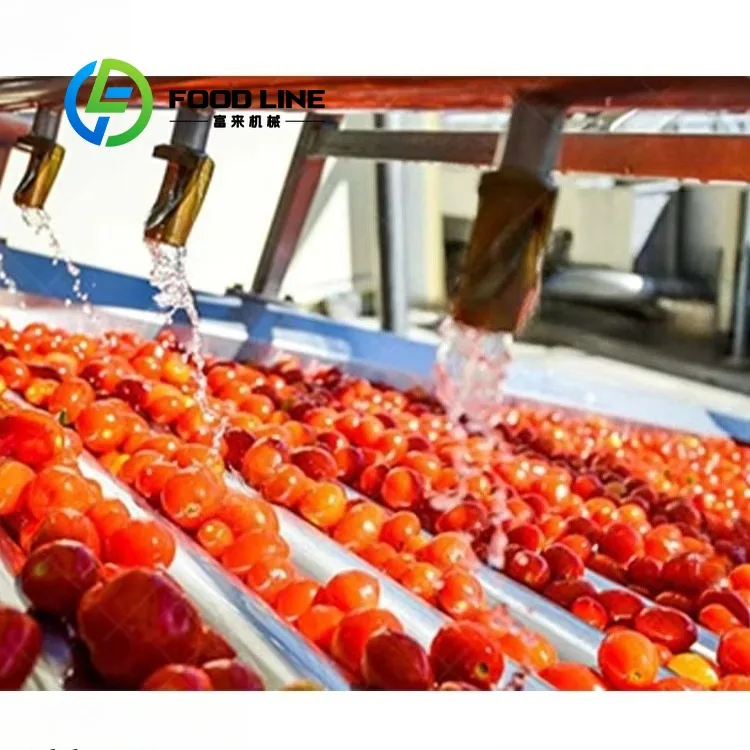 Fully Automatic Tomato Paste Processing Production Line Easy Operation Equipment For Food Processing Factory Use
