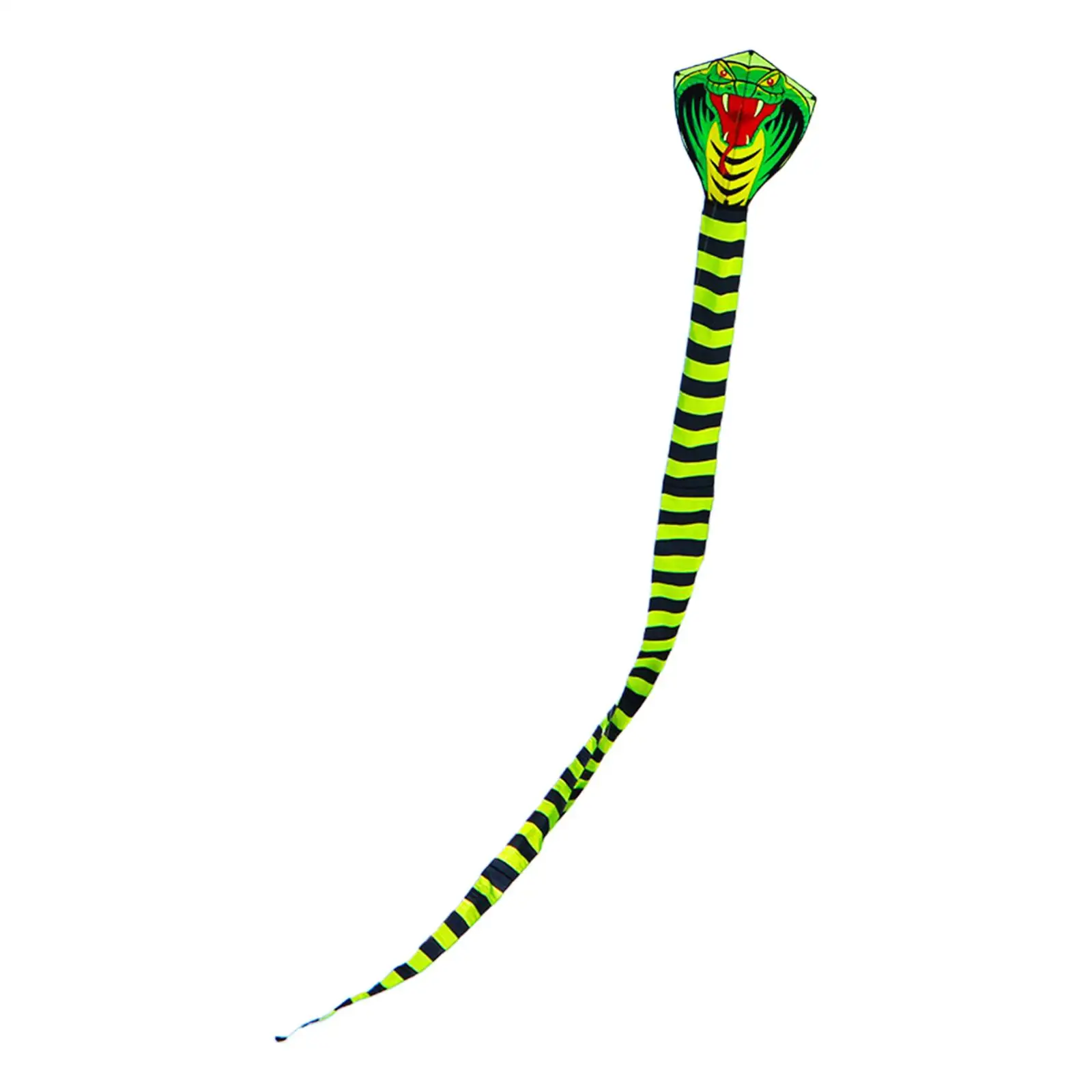 Snake Kite Outdoor Toy with Long Tail for Beginners Sports Kite Snake Kite for Lawn Trips Farm Outdoor Game