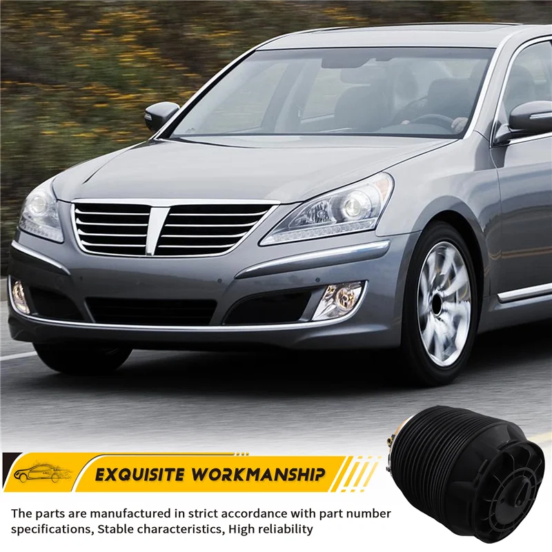 

Rear Air Suspension Springs For Hyundai Equus 2009-2016