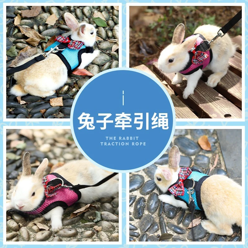 Mesh Breathable Ferret Bunny Harness Leash Set for Small Animals Rabbit Hamsters Summer Walking Pet Lead mascotas Accessories