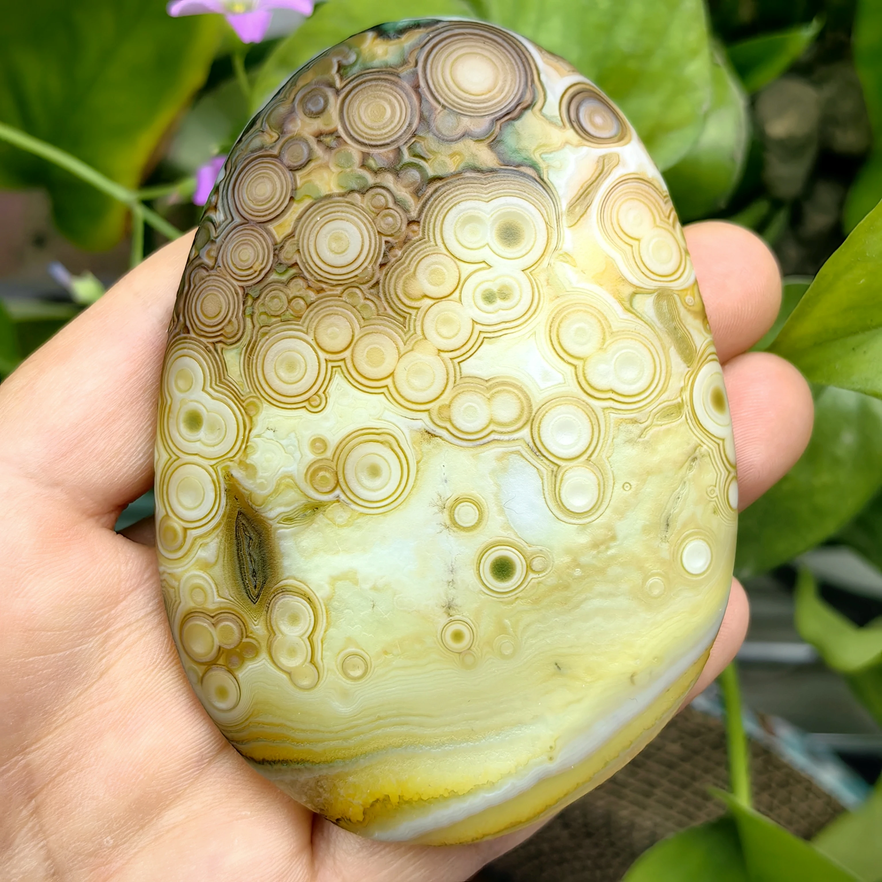 Rare Unpolished Agate Specimen with Distinctive Circular Banding, Hand-Picked for Its Natural Beauty, Suitable as Meditation