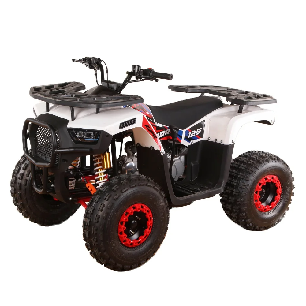 125cc 4 Stroke 8inch Quad Chain Drive CVT ATV For Kids