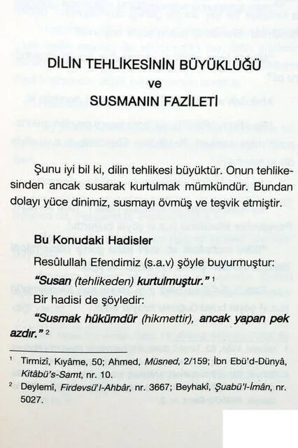 Рисунок 2 - Языковое бедствие-1813