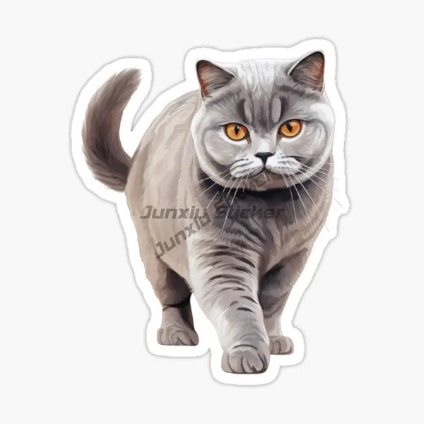 Creative British Shorthair Cat Pets PVC Sticker Decorate for Car Van Door Wall Window Bicycle Bumper Fridge Decal Accessories