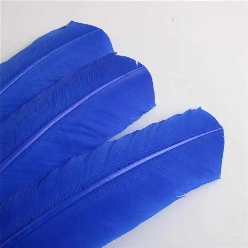 100pcs Multicolour Goose Plumes, Turkey Pointers Large Feathers for Crafts Jewelry Making Costume 25-35CM Plumas Decorativas