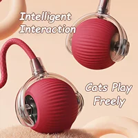 New Cat Interactive Ball Toy Automatic Rolling Ball Faux Tail Rechargeable Smart Pet Electric Toy Dog Cat Training Imitate Mouse 2