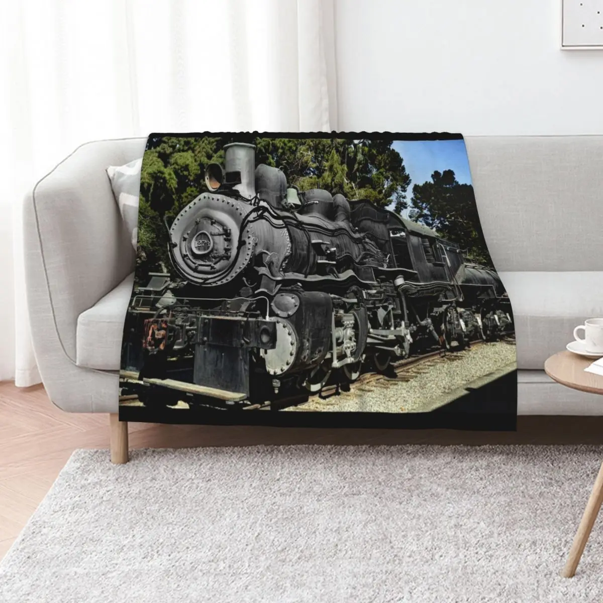 Southern Pacific Railroad Steam Locomotive No. 1273 - Travel Town Railway Museum Throw Blanket Luxury St Cute Furry Blankets