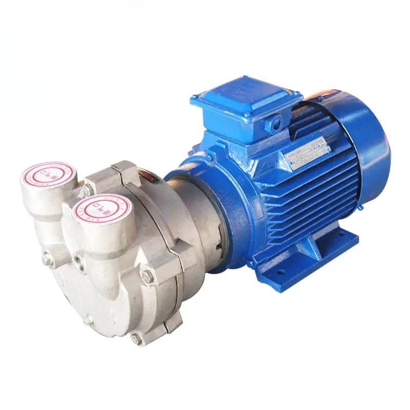 2BV5161 304SS Series Liquid/Water Ring Vacuum Pump Energy Saving for Industrial Use Manufacturer Direct