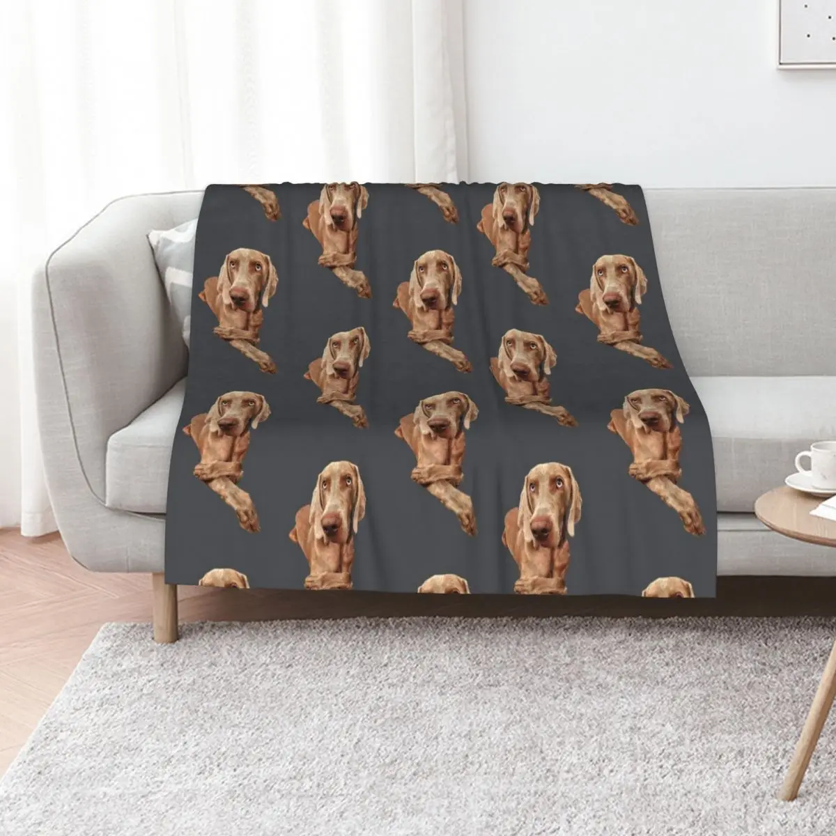 Weimaraner Throw Blanket blankets ands Plush Decorative Sofa Fashion Sofas warm winter Thin Blankets