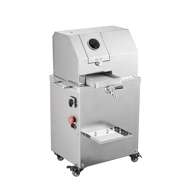 Efficient Sugar Cane & Ginger Garlic Extractor with Core Motor  High Productivity Fruit Processing Plant Use Juicer