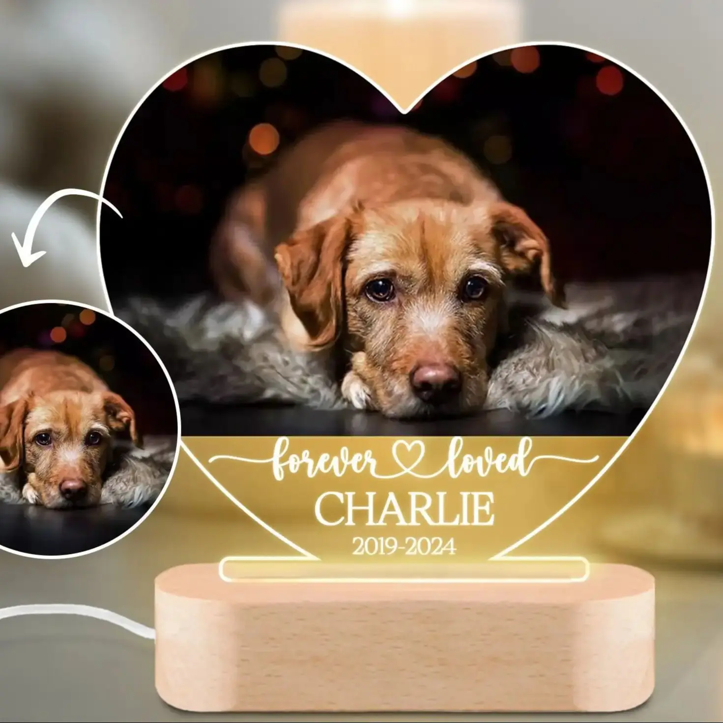 Foto personalizada para cachorro, luz noturna, presente memoral para animais de estimação, placa memorial para animais de estimação, presente personalizado para perda de animais de estimação