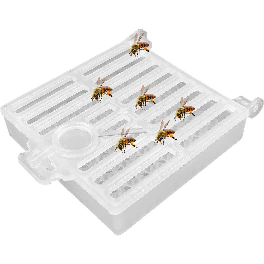 3Pcs Queen Bee Post Cage Beekeeping Transport Queen Cages Move Transmit Mail Box Beekeeping Queens Shipping Box Beekeeping Tools