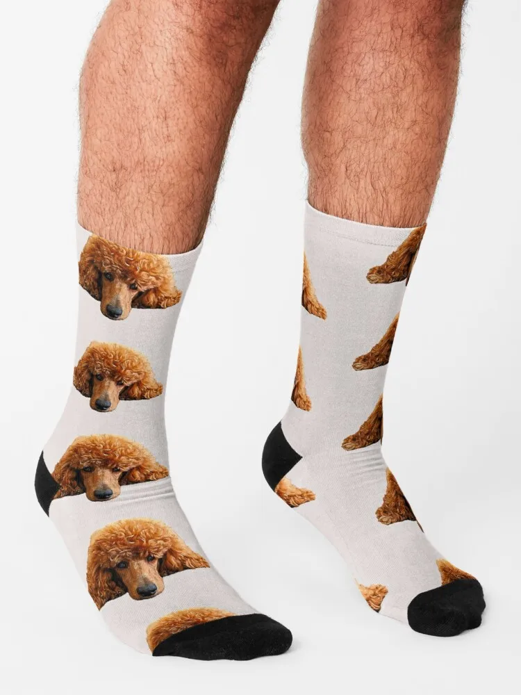 Poodle Gorgeous Poodle Face / Head Socks Happy Socks