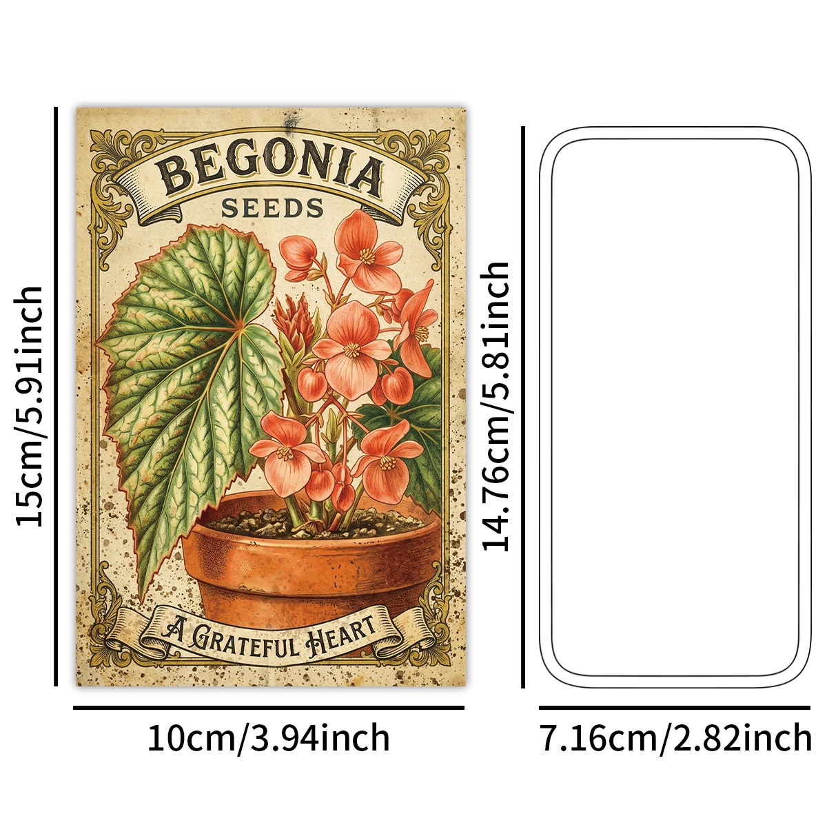 20 cartes artistiques murales - Vintage Collectible Cards avis et prix