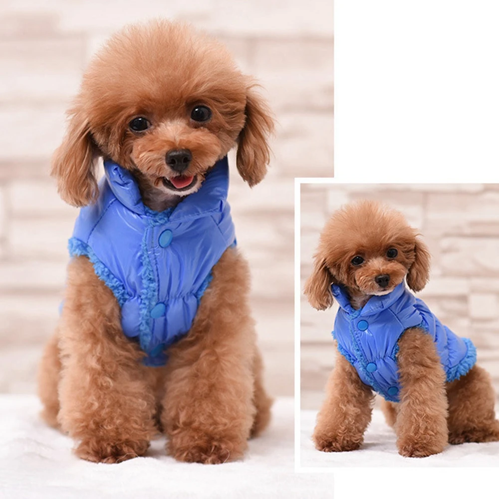 Colorful Winter Coat for Small Dogs Cats Warm Cotton Padded Jacket Waterproof Vest Lightweight Cold Weather Apparel for Outdoor