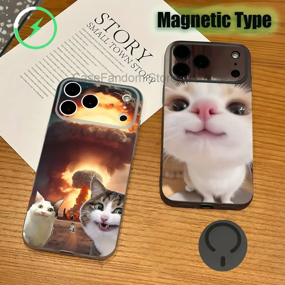 

Funny Cat Meme For iPhone 17,16,15,14,13,12,11,Pro,Max,Plus Transparent gray Phone Case Magnetic Wireless Charging