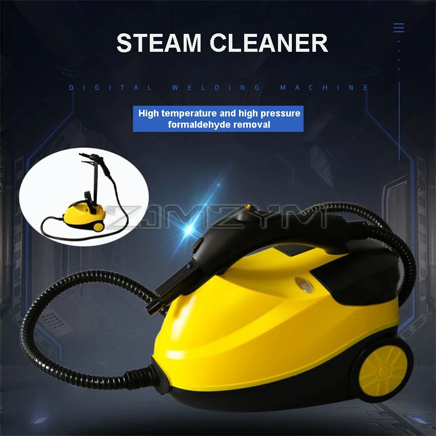 2000W 4Bar High Temperature Steam Cleaner Sterilization Kill Mites Disinfector Air Conditioning Kitchen Hood Car Cleaner