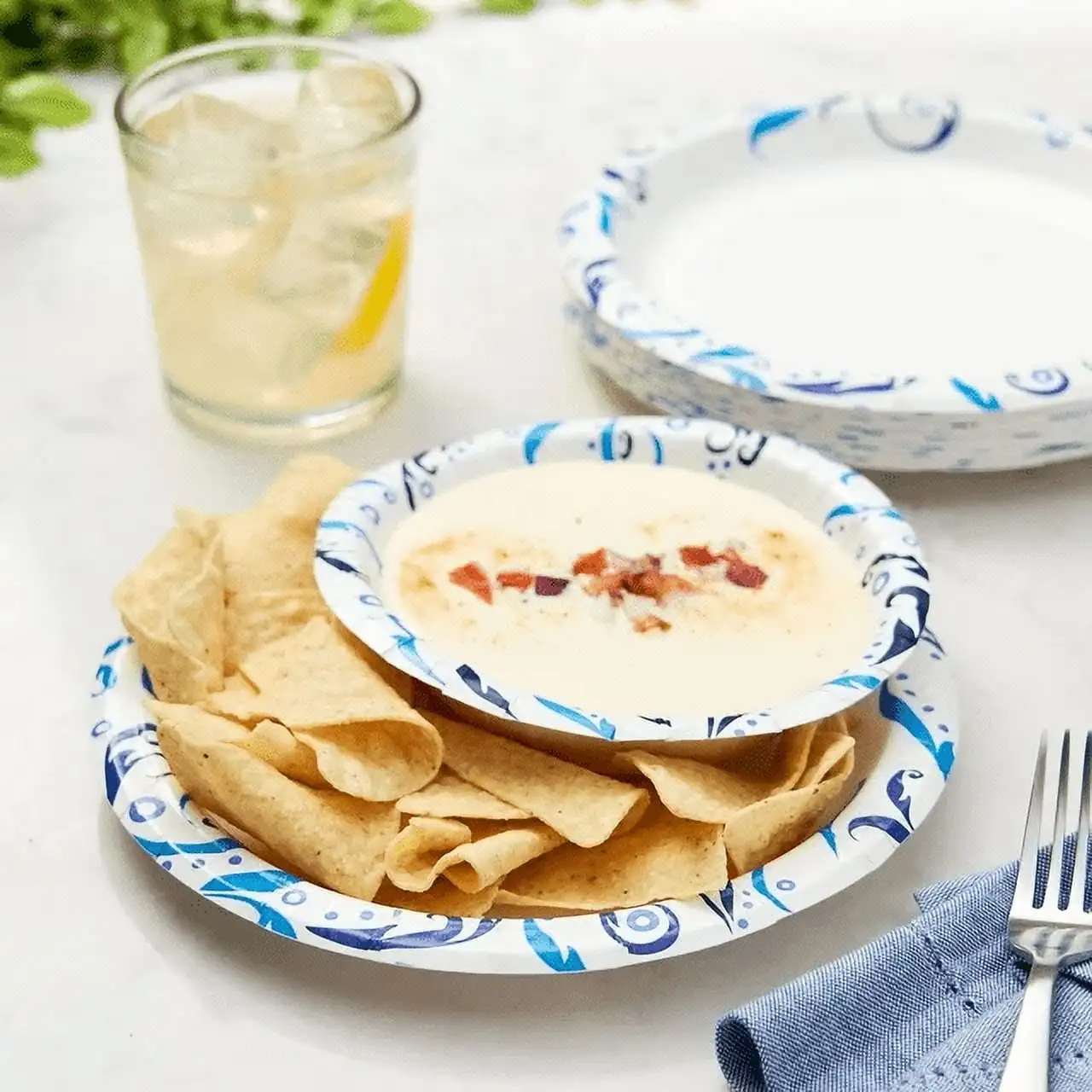 

Everyday Disposable Paper Plates,