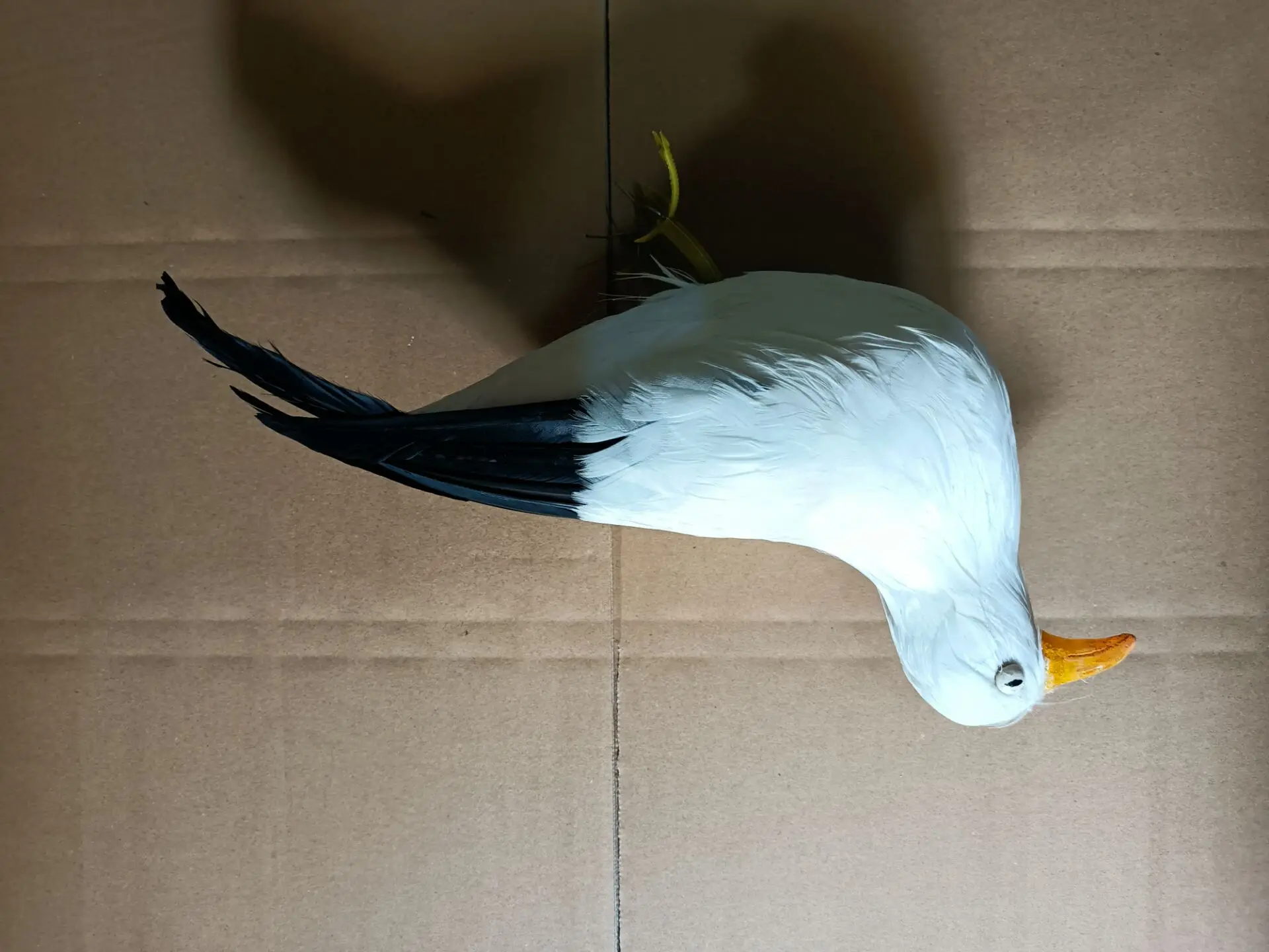 Simulazione schiuma e piume dead seagull model toy gift circa 32cm h2722