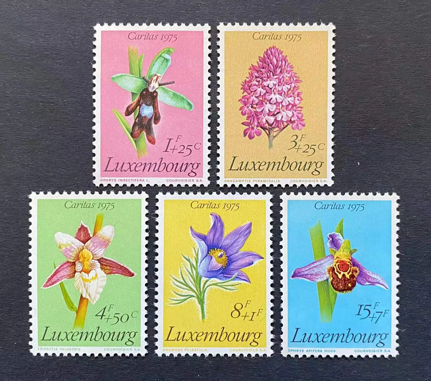 5Pcs/Set New Luxembourg Post Stamp 1975 Flowers I Postage Stamps MNH