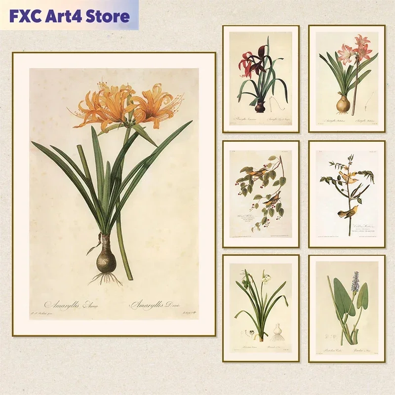 Frameless Vintage Botanical Posters and Prints Blush-colored Crinum Barbados Lily Canvas Painting Wall Art Picture for Room Offi