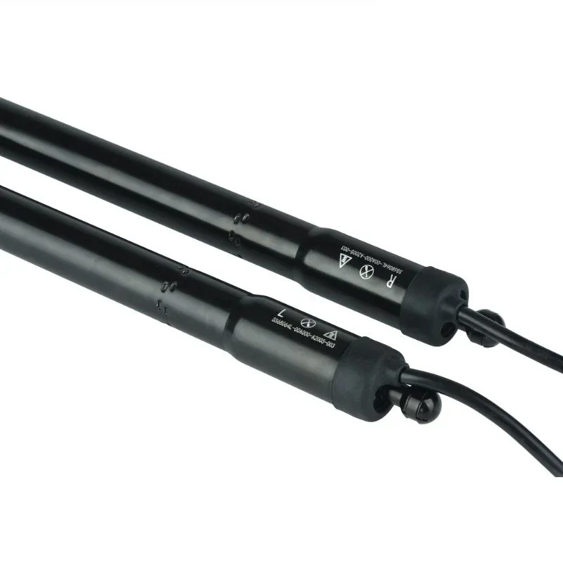 Car Smart Electric Tail Gate Lift Power Trunk Rear Back Door Automatic Tailgate for Honda Elysion
