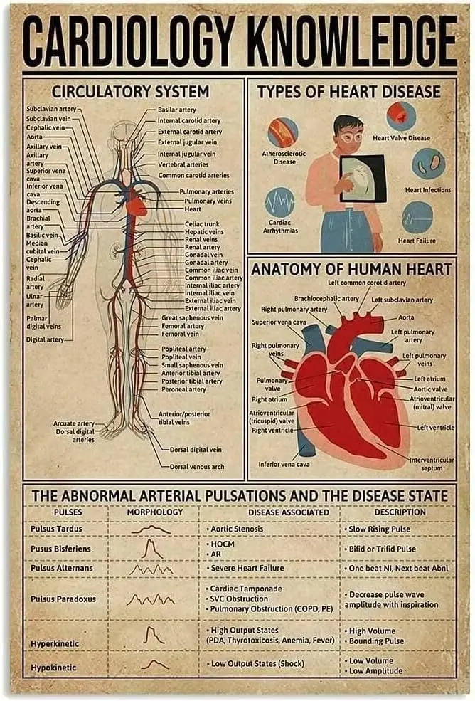 Plaques en métal sur le thème de la cardiologie et du système circulatoire pour la maison, la chambre, le bureau, la salle de bain, le salon, le café, la cuisine, et comme décoration murale.