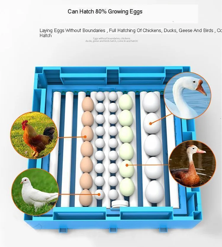 

2026 Incubator 320 Egg New Material Chicken Farms Use Chicken Egg Incubators for Sale