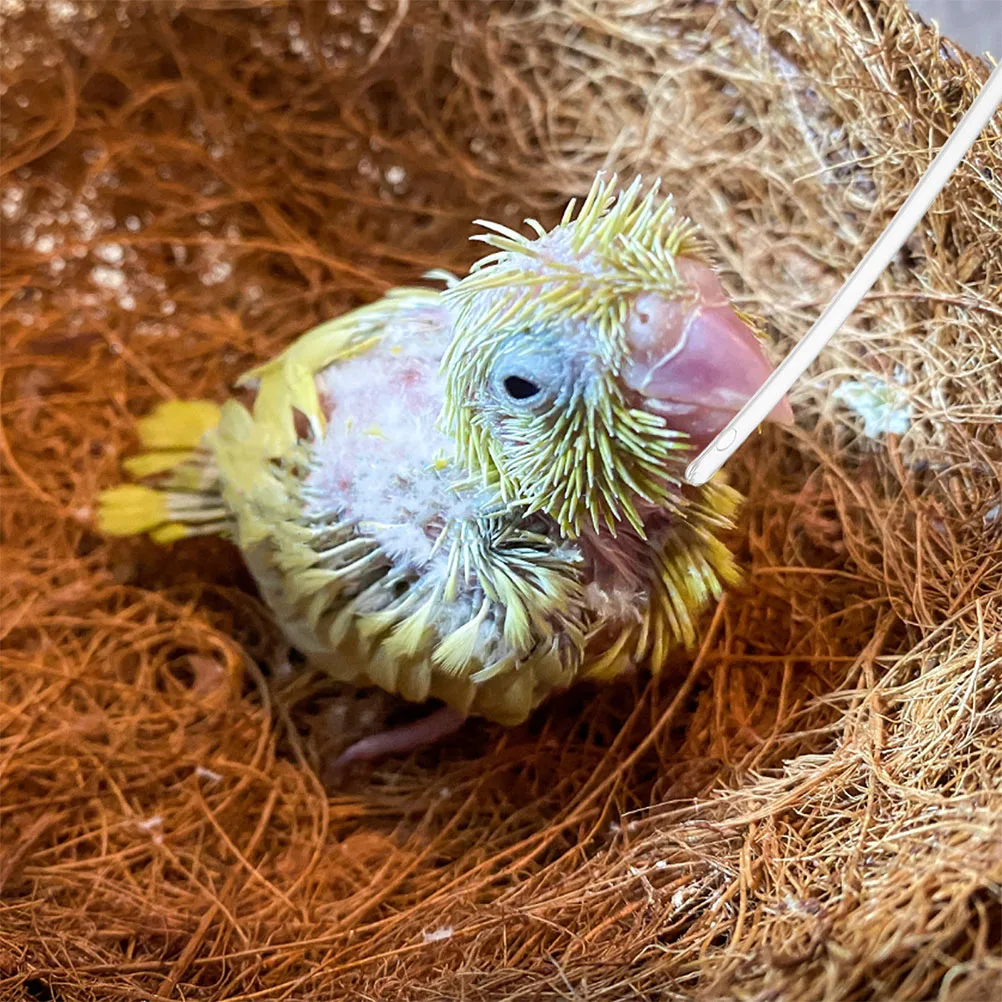 

100pcs Replacement For Baby Bird Parrot Budgies Small Birds Clear Abs Material Hand Tool Bird Feeder Accessories Feeding