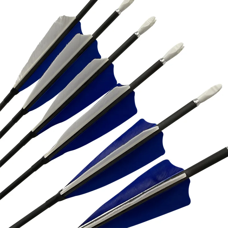 

Archery For Beginners ID4.2mm 6 Pcs Practice Arrows 4 Inch Turkey Feathers Pure Carbon Arrows Spine 400 500 600 700 800