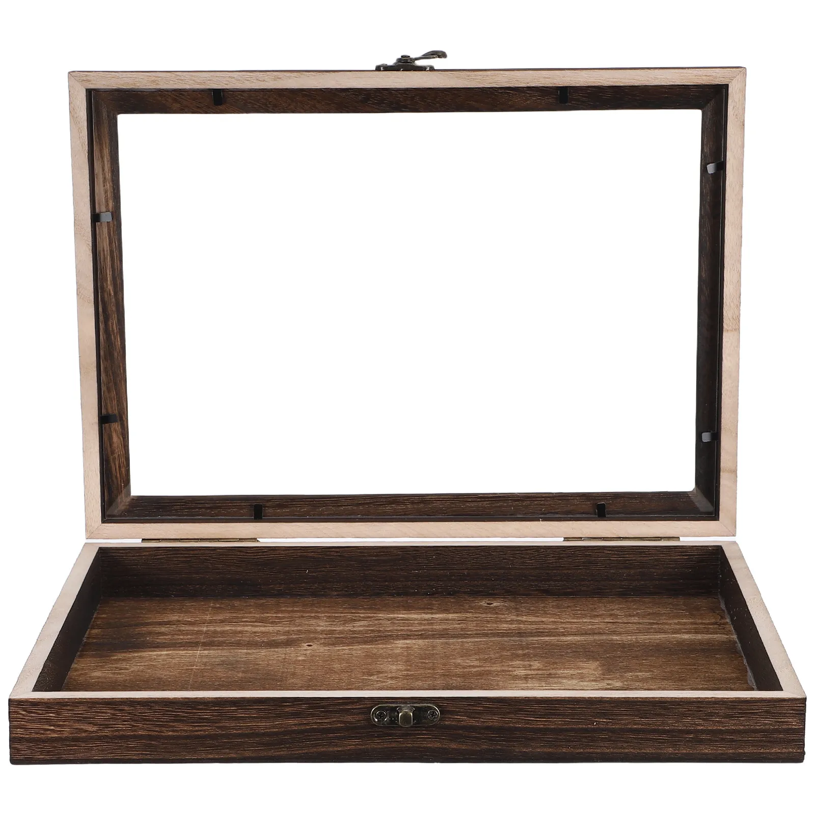 

Vintage Wooden Specimen Display Box Flip Showcase for Butterfly Dried Flower Storage Case Wall Mounted Collector