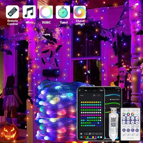 RGBIC Halloween Lights LED String 10m 100 leds WS2812 Birthday Party Room Decoration Light Addressable Individually DC5V USB