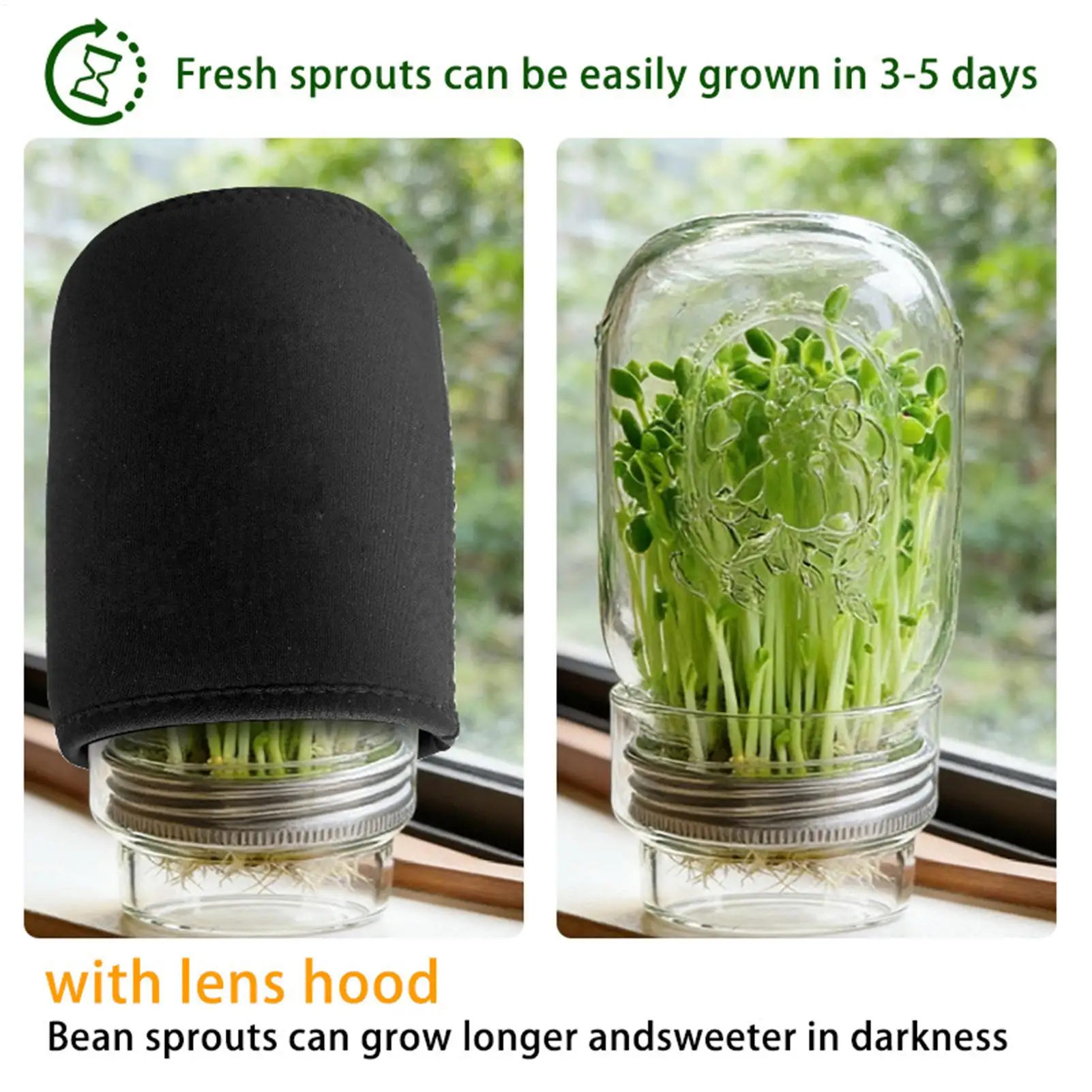 Sprouting Kit Broccoli Sprouts Germination Broccoli Sprouts Growing Kit For Gardeners Beginners Homesteaders Kitchen Countertop