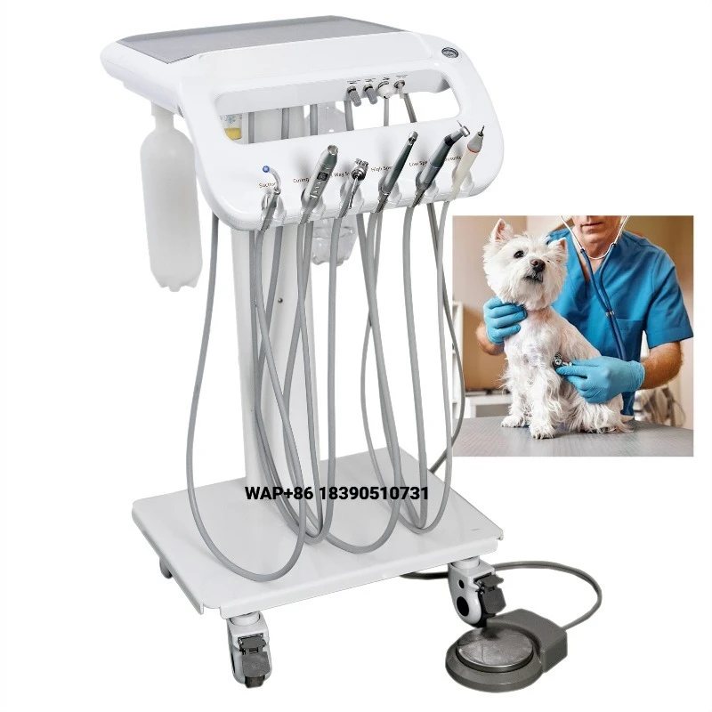 Factory Direct Mobile Veterinary Treatment Vehicle with Built-in Scaler and Curing Light | Integrated Veterinary Clinic E